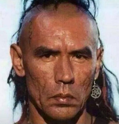 Индеец магуа. Уэс Стьюди. Wes Studi актер индеец. Уэс Стьюди в молодости.